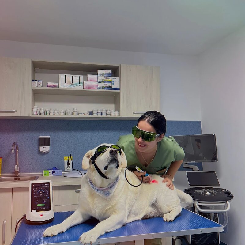 Iris Vet - Cabinet Veterinar